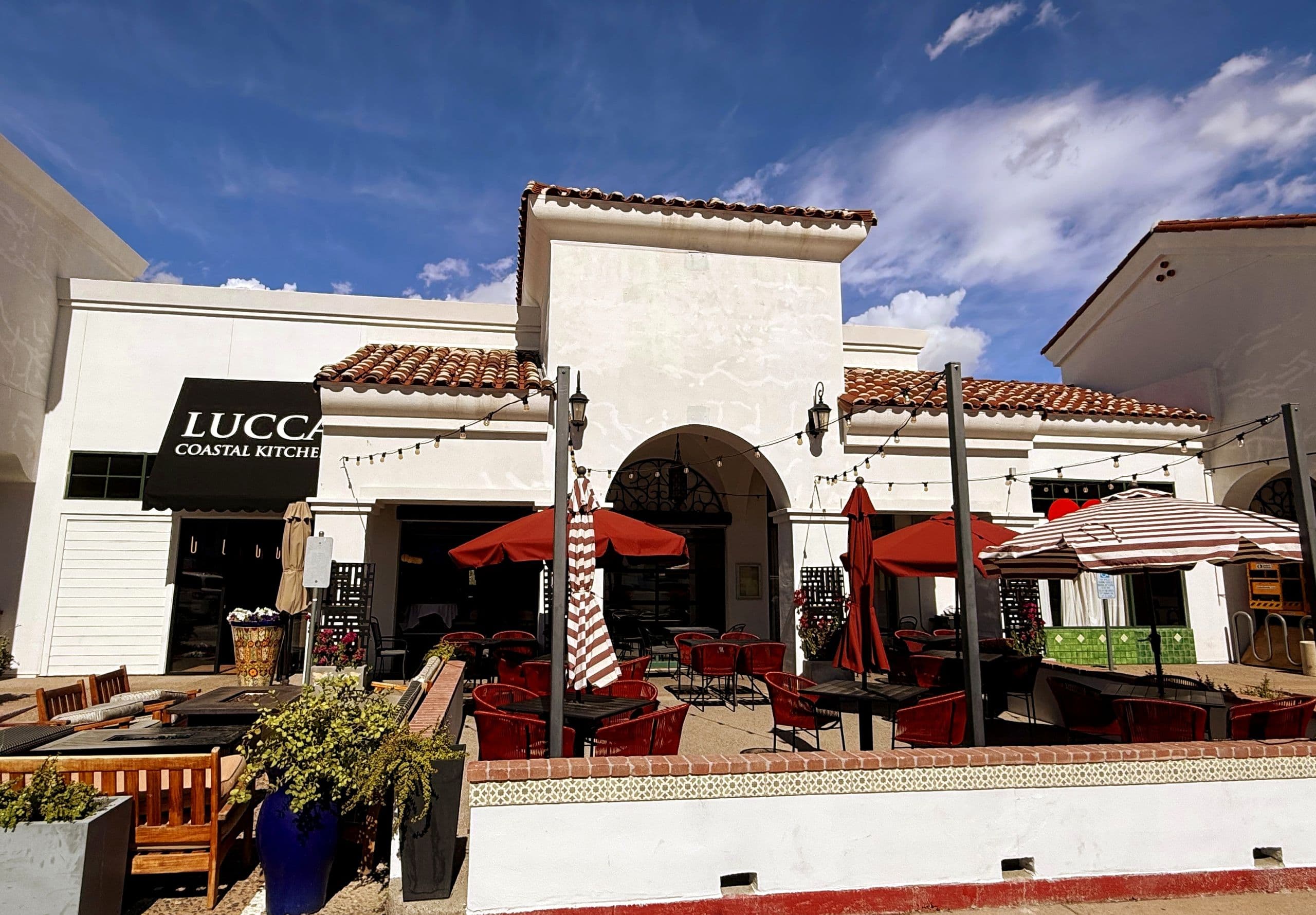 Interior by Palm and Mountain — Lucca