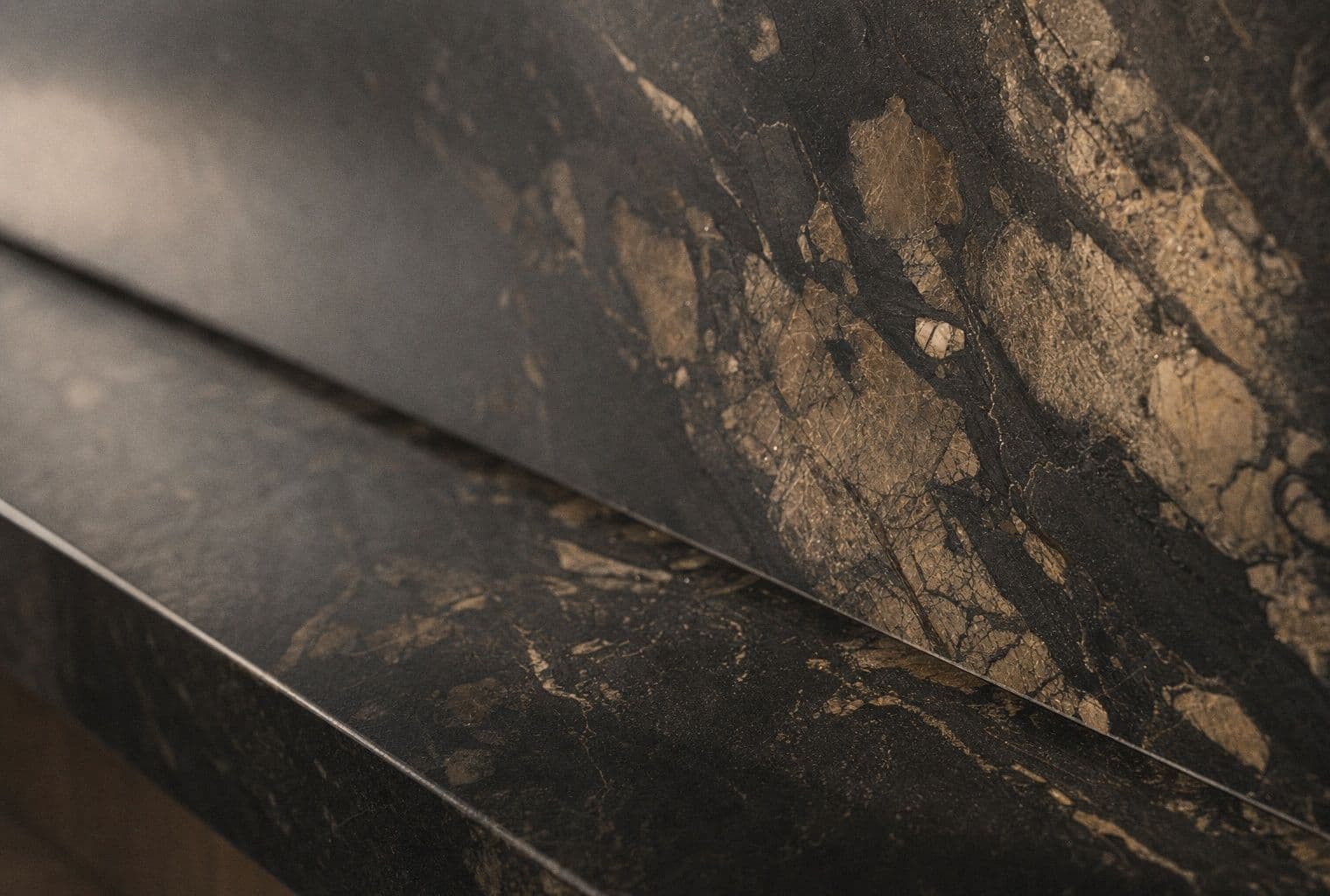 Interior by Palm and Mountain — PineTop
